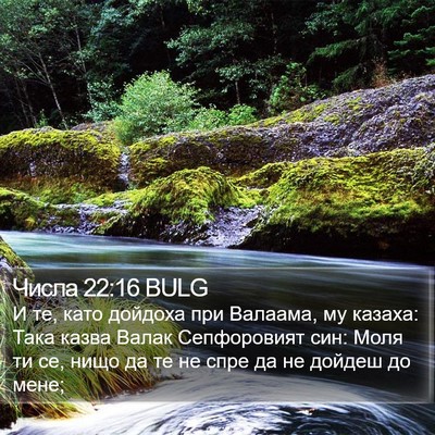 Числа 22:16 BULG Bible Verse Image