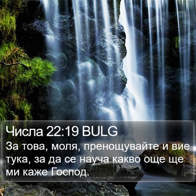 Числа 22:19 BULG Bible Verse Image