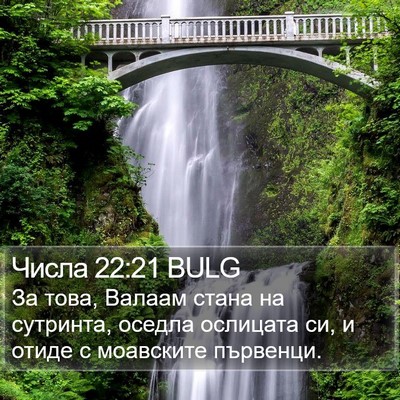 Числа 22:21 BULG Bible Verse Image