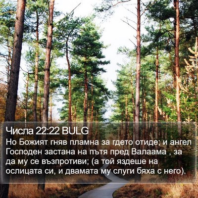 Числа 22:22 BULG Bible Verse Image