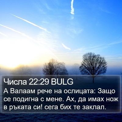 Числа 22:29 BULG Bible Verse Image