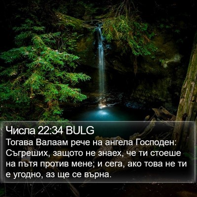 Числа 22:34 BULG Bible Verse Image