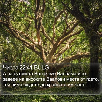 Числа 22:41 BULG Bible Verse Image