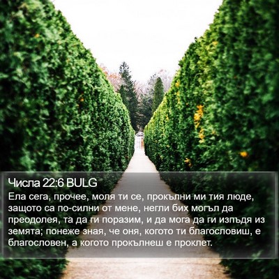 Числа 22:6 BULG Bible Verse Image