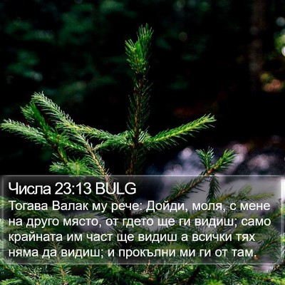 Числа 23:13 BULG Bible Verse Image