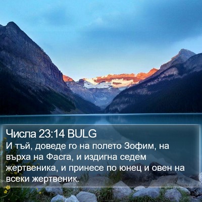 Числа 23:14 BULG Bible Verse Image
