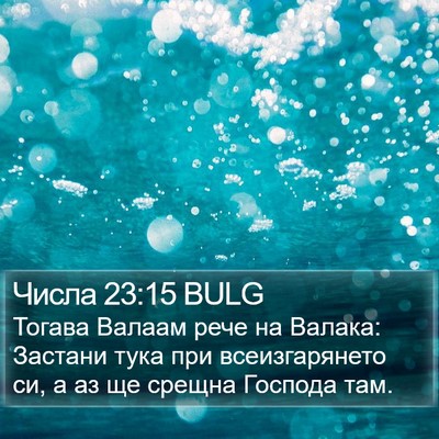 Числа 23:15 BULG Bible Verse Image