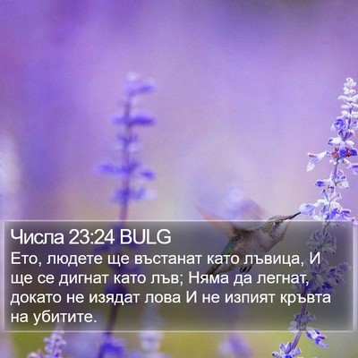 Числа 23:24 BULG Bible Verse Image