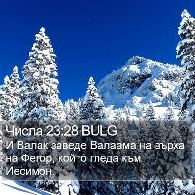 Числа 23:28 BULG Bible Verse Image