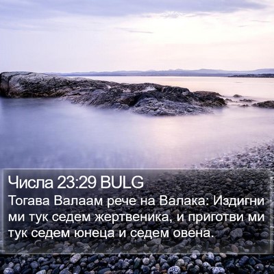 Числа 23:29 BULG Bible Verse Image