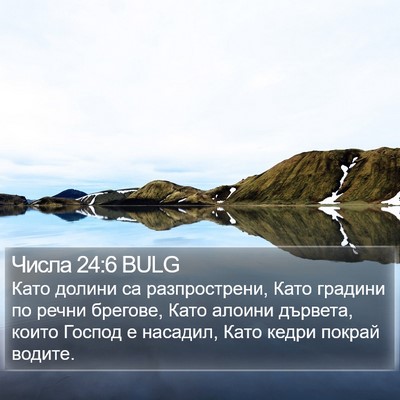 Числа 24:6 BULG Bible Verse Image