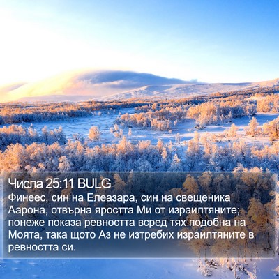 Числа 25:11 BULG Bible Verse Image