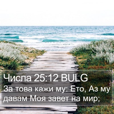 Числа 25:12 BULG Bible Verse Image