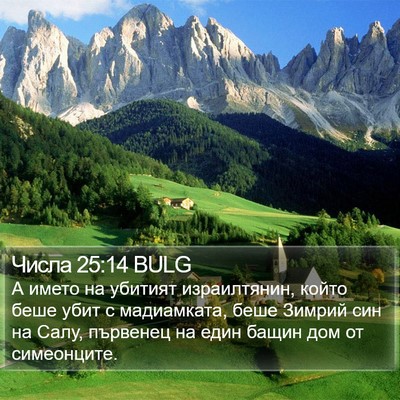 Числа 25:14 BULG Bible Verse Image