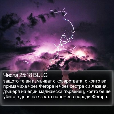 Числа 25:18 BULG Bible Verse Image