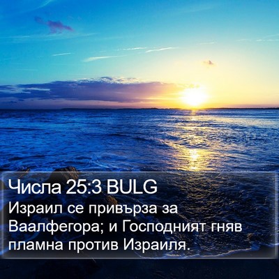 Числа 25:3 BULG Bible Verse Image