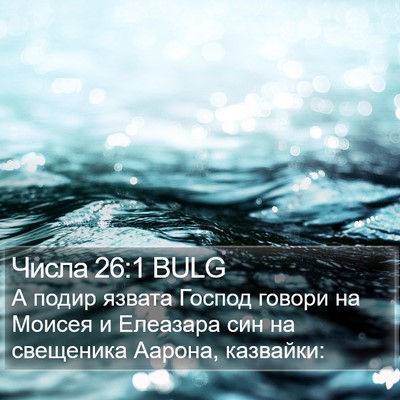 Числа 26:1 BULG Bible Verse Image