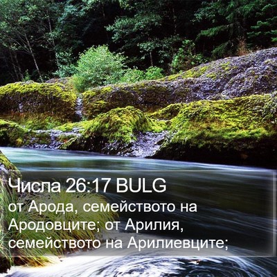 Числа 26:17 BULG Bible Verse Image