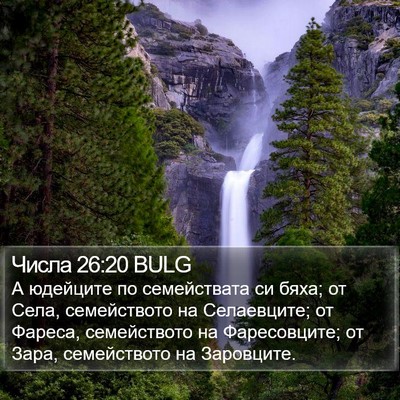 Числа 26:20 BULG Bible Verse Image