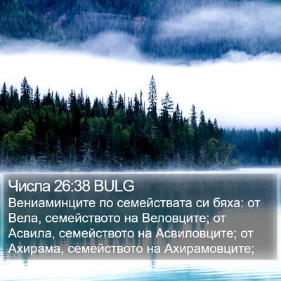 Числа 26:38 BULG Bible Verse Image