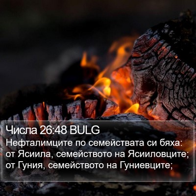 Числа 26:48 BULG Bible Verse Image