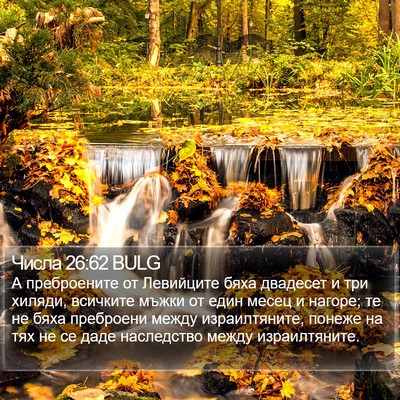 Числа 26:62 BULG Bible Verse Image