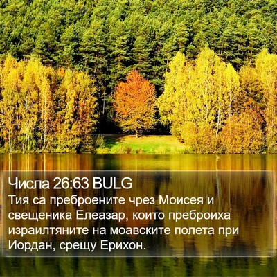 Числа 26:63 BULG Bible Verse Image