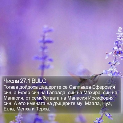 Числа 27:1 BULG Bible Verse Image