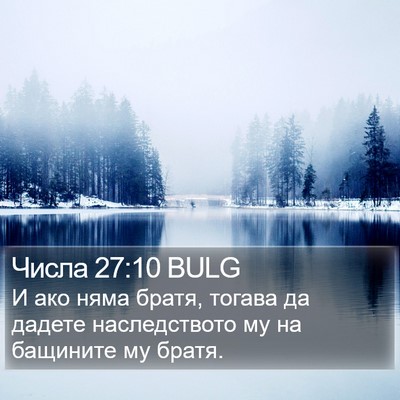 Числа 27:10 BULG Bible Verse Image