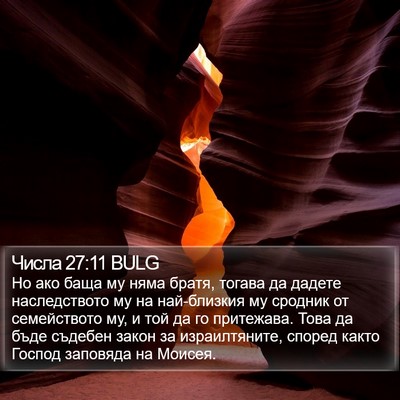 Числа 27:11 BULG Bible Verse Image
