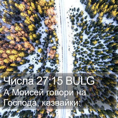 Числа 27:15 BULG Bible Verse Image