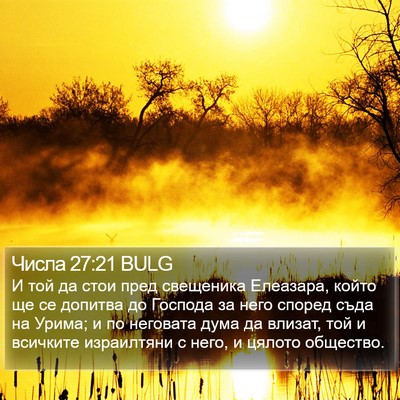 Числа 27:21 BULG Bible Verse Image