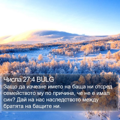Числа 27:4 BULG Bible Verse Image