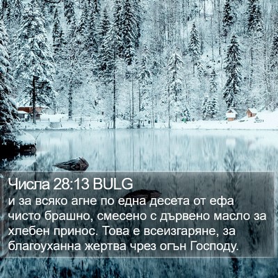 Числа 28:13 BULG Bible Verse Image