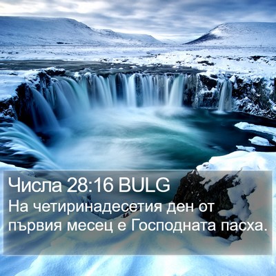 Числа 28:16 BULG Bible Verse Image
