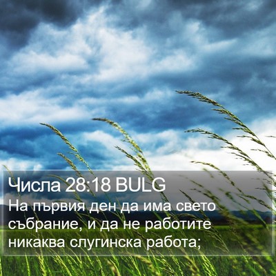 Числа 28:18 BULG Bible Verse Image