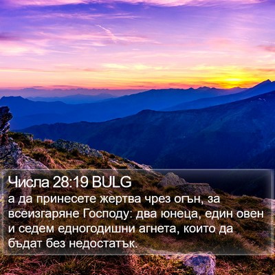 Числа 28:19 BULG Bible Verse Image