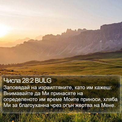 Числа 28:2 BULG Bible Verse Image