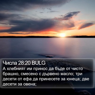 Числа 28:20 BULG Bible Verse Image