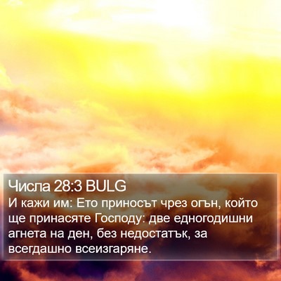 Числа 28:3 BULG Bible Verse Image