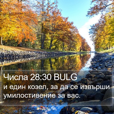 Числа 28:30 BULG Bible Verse Image