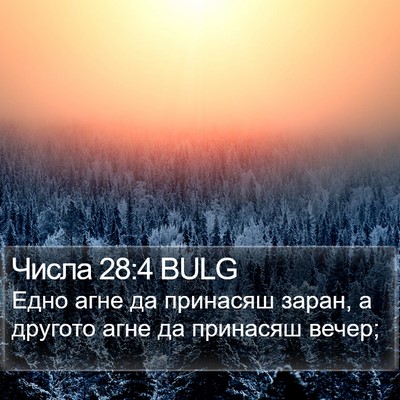 Числа 28:4 BULG Bible Verse Image