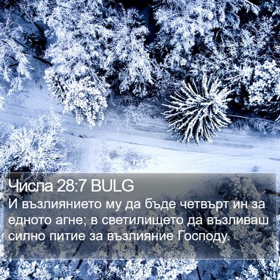 Числа 28:7 BULG Bible Verse Image