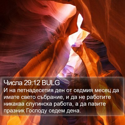 Числа 29:12 BULG Bible Verse Image
