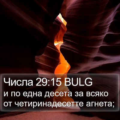 Числа 29:15 BULG Bible Verse Image
