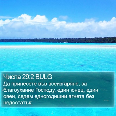 Числа 29:2 BULG Bible Verse Image