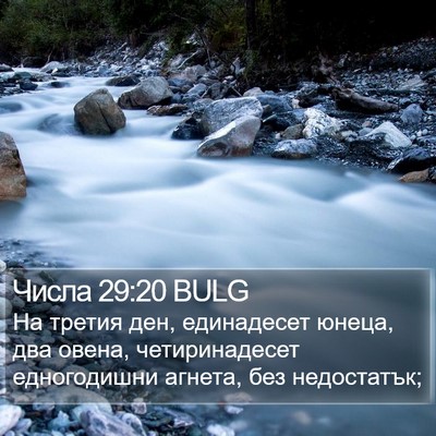 Числа 29:20 BULG Bible Verse Image