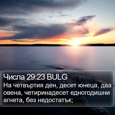 Числа 29:23 BULG Bible Verse Image