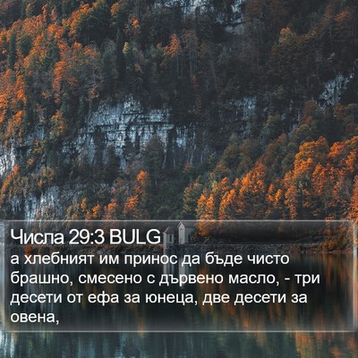 Числа 29:3 BULG Bible Verse Image