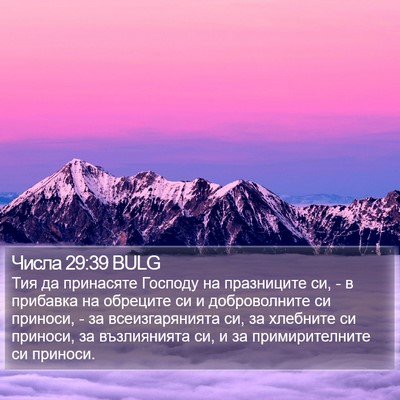 Числа 29:39 BULG Bible Verse Image
